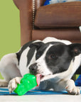 BARK Super Chewer Munchie The Bear Dog Chew Toy S