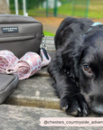 Cocopup London - Dog Walking Bag - Mocha