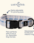 Lucy & Co. - Bowwow Wow! Collar: L