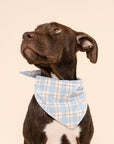 The Paws - Harlowe Dog Bandana