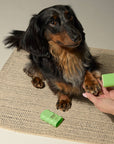 Welltayl - Dog Skin Barrier Stick (Cat-Safe)