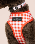 Lucy & Co. - The Cheery Cherries Reversible Harness