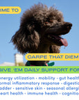 Native Pet - The Daily Supplement