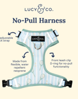 Lucy & Co. - Match Point No-Pull Harness