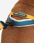 Zee.Dog - Voyage | SofterWalk Harness: Small