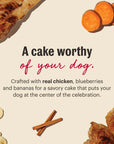 The Honest Kitchen Birthday Cake Mix