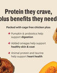 The Honest Kitchen Grain Free Chicken Protein Plus Clusters
