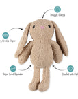 Fringe Studio Hoppy To See You Large Plush Dog Toy