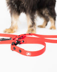 The Modern Dog Company - Ruby Red Adjustable Leash