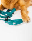 The Modern Dog Company - Forest Green Adjustable Leash