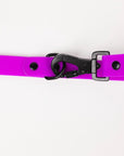 The Modern Dog Company - Electric Fuchsia Leash (Weather + Odor Resistant)