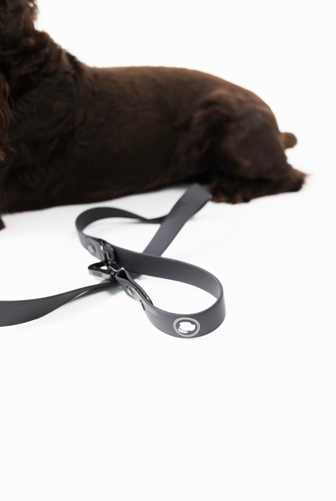 The collar and leash company sales