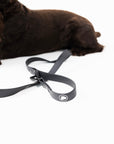 The Modern Dog Company - Better in Black Leash