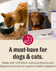 The Honest Kitchen Instant Goat's Milk Plus