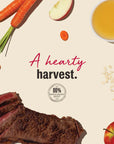 The Honest Kitchen Beef Jerky Harvest Bars