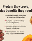 The Honest Kitchen Grain Free Beef & Chicken Protein Plus Clusters