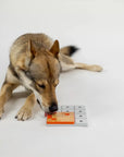 Pawzler Build Your Own Puzzle - Terra Pawzle