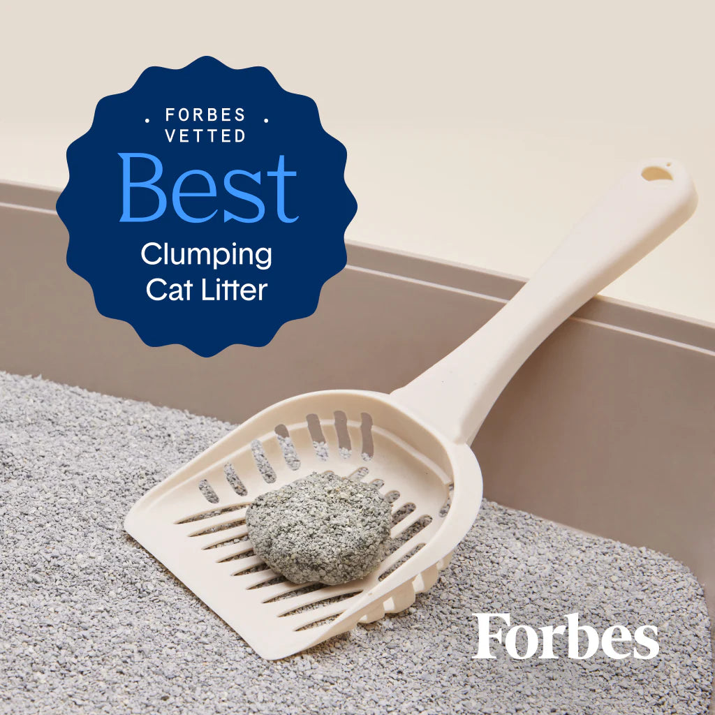 Boxiecat Self-Cleaning Probiotic Clumping Clay Cat Litter