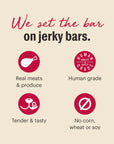 The Honest Kitchen Beef Jerky Harvest Bars