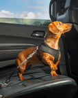 Pinewood Leather Dog Seatbelt