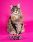 Mimi's Daughter Three Blind Mind -Felt Cat Toy