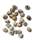 Savage Cat Frozen Quail Eggs