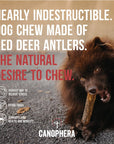 Canophera Red Deer Whole Antler
