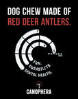 Canophera Red Deer Whole Antler