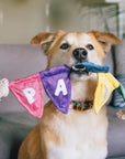 Play Pet Brands - Party Animal Tug n’ Party Banner