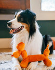 Play Pet Brands - Party Animal Balloon Buddy