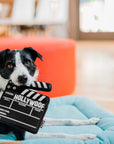 P.L.A.Y. Pet Lifestyle and You - Hollywoof Collection - Hollywoof Cinema Doggy Director Board