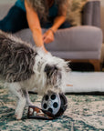P.L.A.Y. Pet Lifestyle and You - Hollywoof Collection - Hollywoof Cinema Momo's Movie Reel