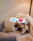 P.L.A.Y. Pet Lifestyle and You - Hollywoof Collection - Hollywoof Cinema 3-Dog Glasses