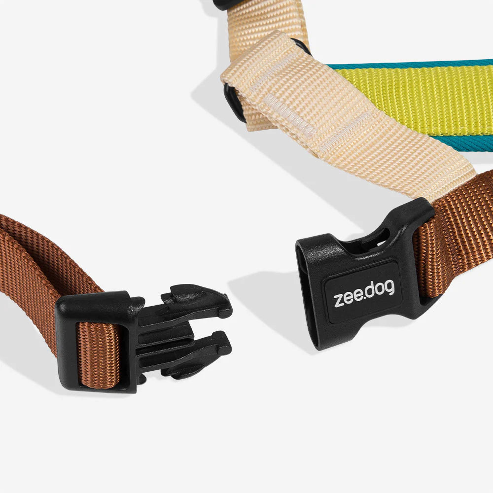 ドッグsaqina ドッグsaqina ドッグsaqina ドッグsaqina The 40-Year