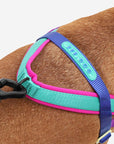 Zee.Dog SofterWalk Harness - Shockwave