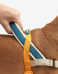 Zee.Dog SofterWalk Harness - Voyage