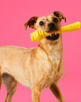 Project Hive Floating Fetch Stick