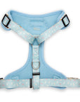 The Modern Dog Company - Bottomless Brunch Harness