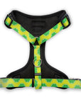 The Modern Dog Company - Retro Taco Tuesday Harness