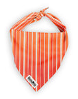 The Modern Dog Company - Reversible Feeling Peachy Bandana