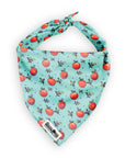 The Modern Dog Company - Reversible Feeling Peachy Bandana