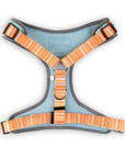 The Modern Dog Company - Feeling Peachy Harness