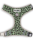 The Modern Dog Company - Walk on the Wild Side Harness