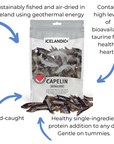 Icelandic + Dog Treat Capelin Whole & Pieces of Fish