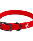 The Modern Dog Company - Ruby Red Collar (Weather + Odor Resistant)