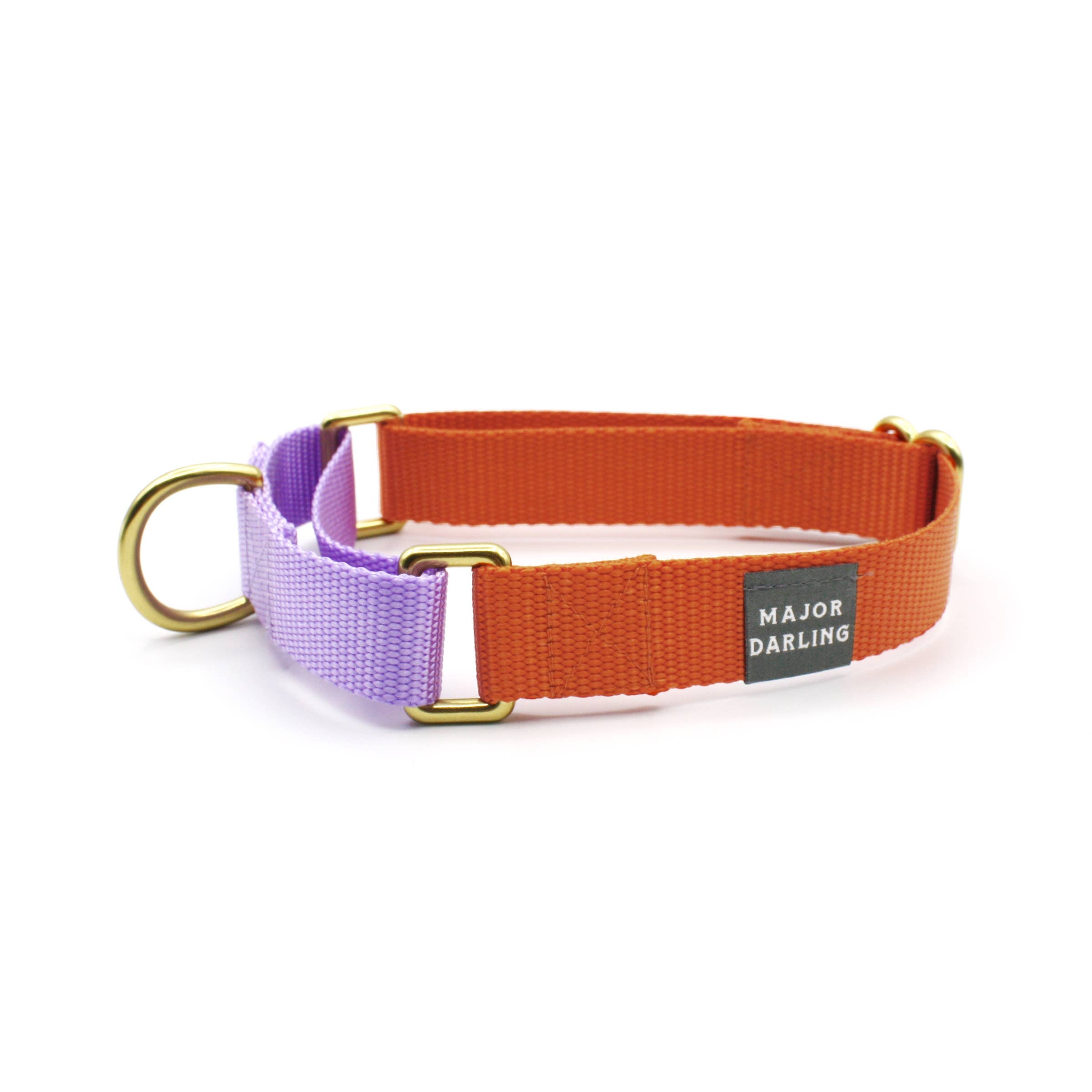 Major Darling - Orange with Lilac Martingale Collar
