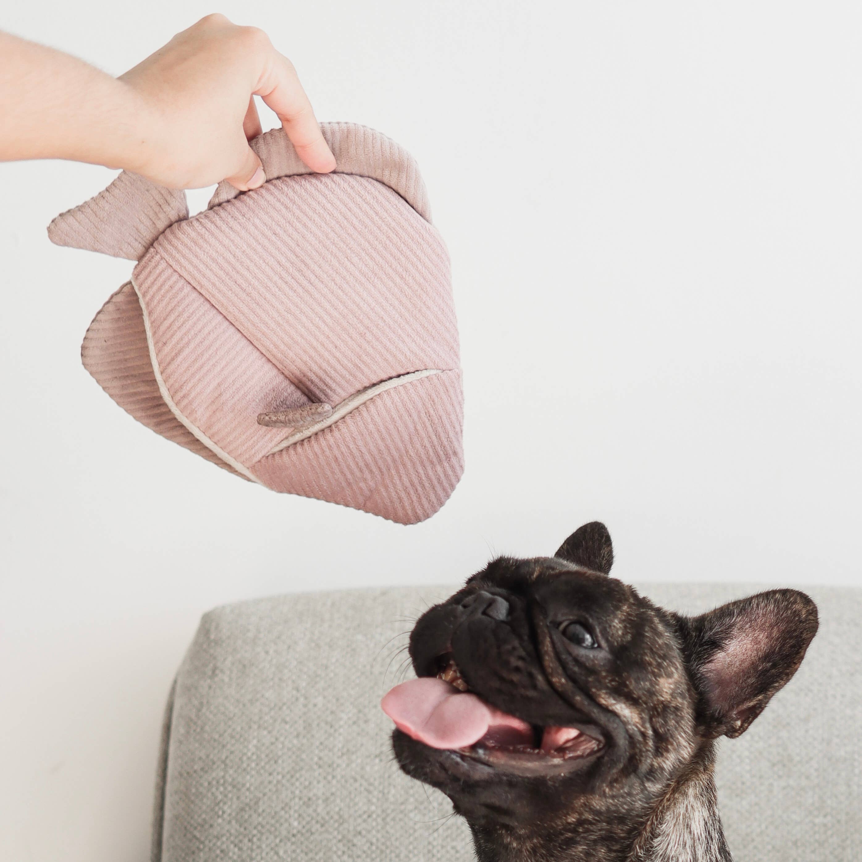 Lambwolf Collective - ANGEL FISH//ENRICHMENT DOG TOY