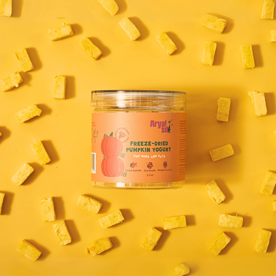 Arya Sit - Freeze-Dried Pumpkin Yogurt – The Modern Dog Company Store
