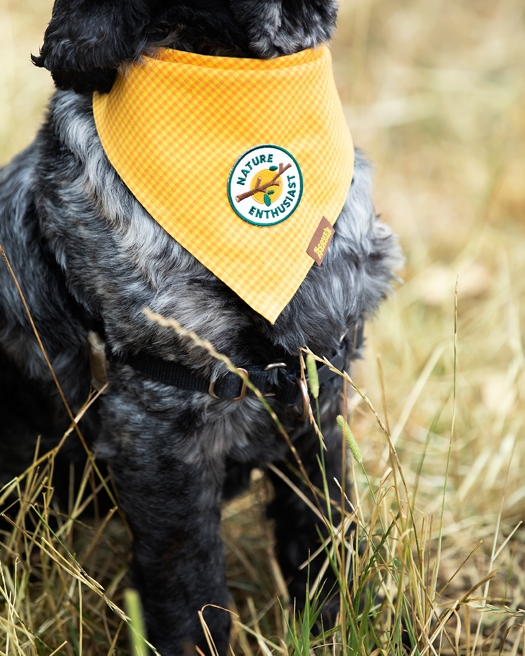 Scout's Honour - Nature Enthusiast iron-on patch for dogs