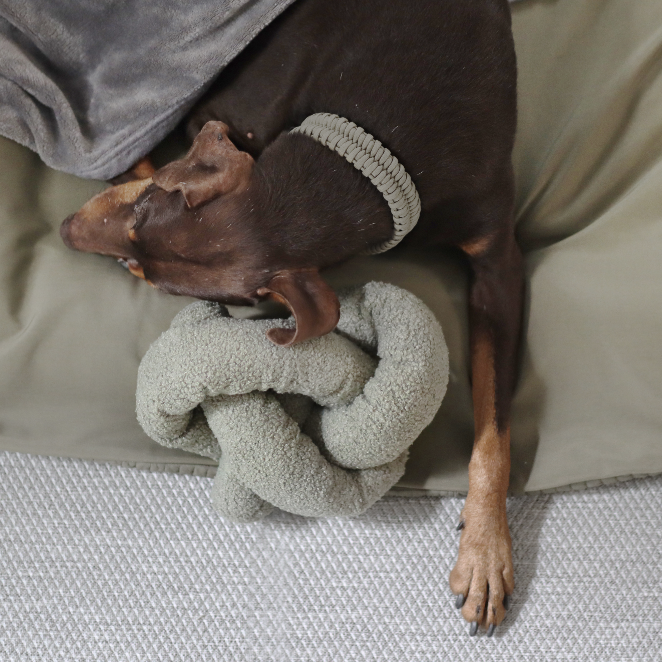 Lambwolf Collective - O NOU | oversized play object with super squeakers